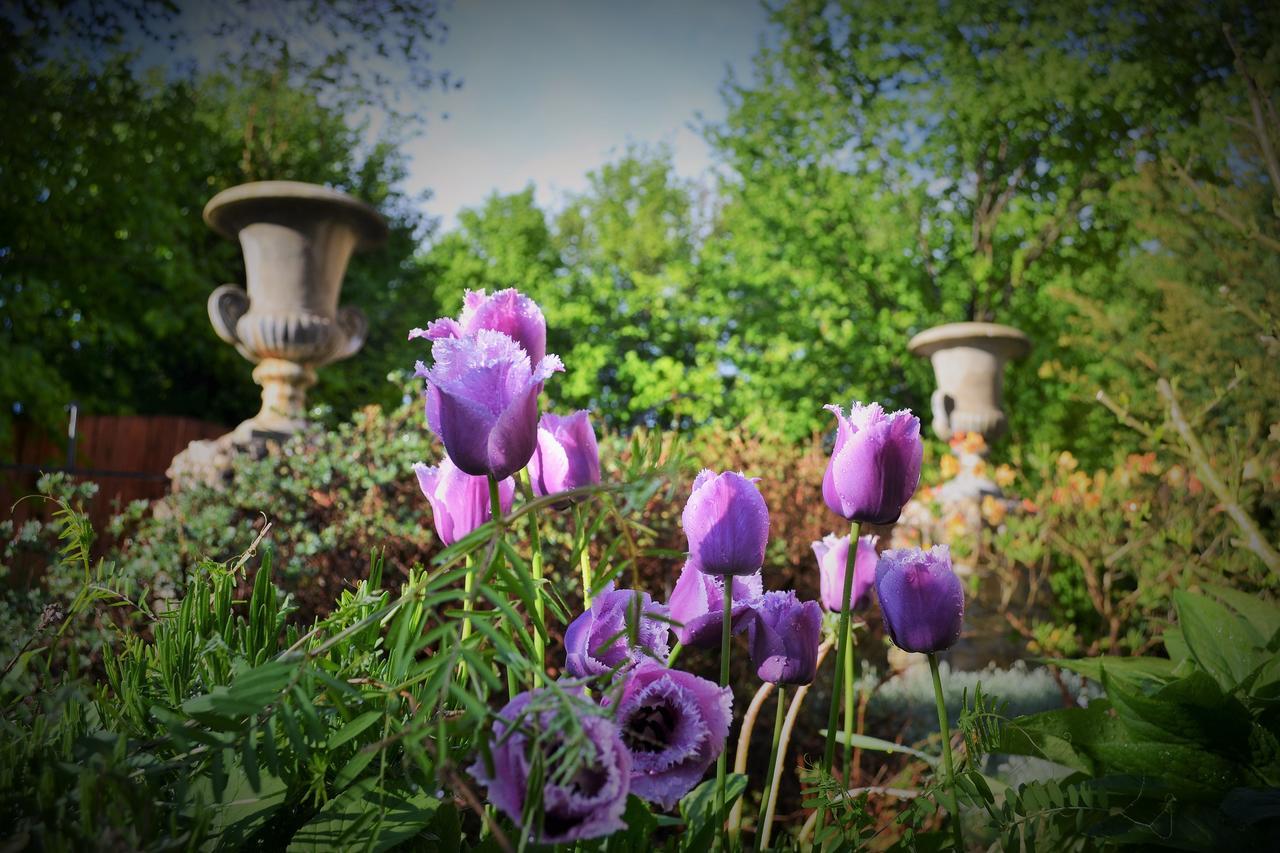 U Zlate Brany Cesky Raj Hotel Libuň Buitenkant foto